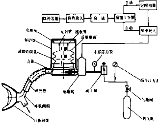 低阻力供气呼吸器系统示意图.png